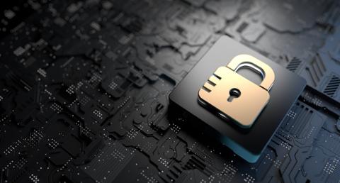 Go to article Cybersecurity Skills You Need for Every Career Stage